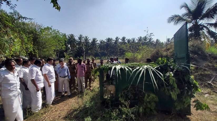 பரமத்திவேலூர் அருகே பசுங்கன்றை கொன்ற சிறுத்தையை பிடிக்க கூண்டுவைப்பு... அமைச்சர் மதிவேந்தன் நேரில் ஆய்வு!