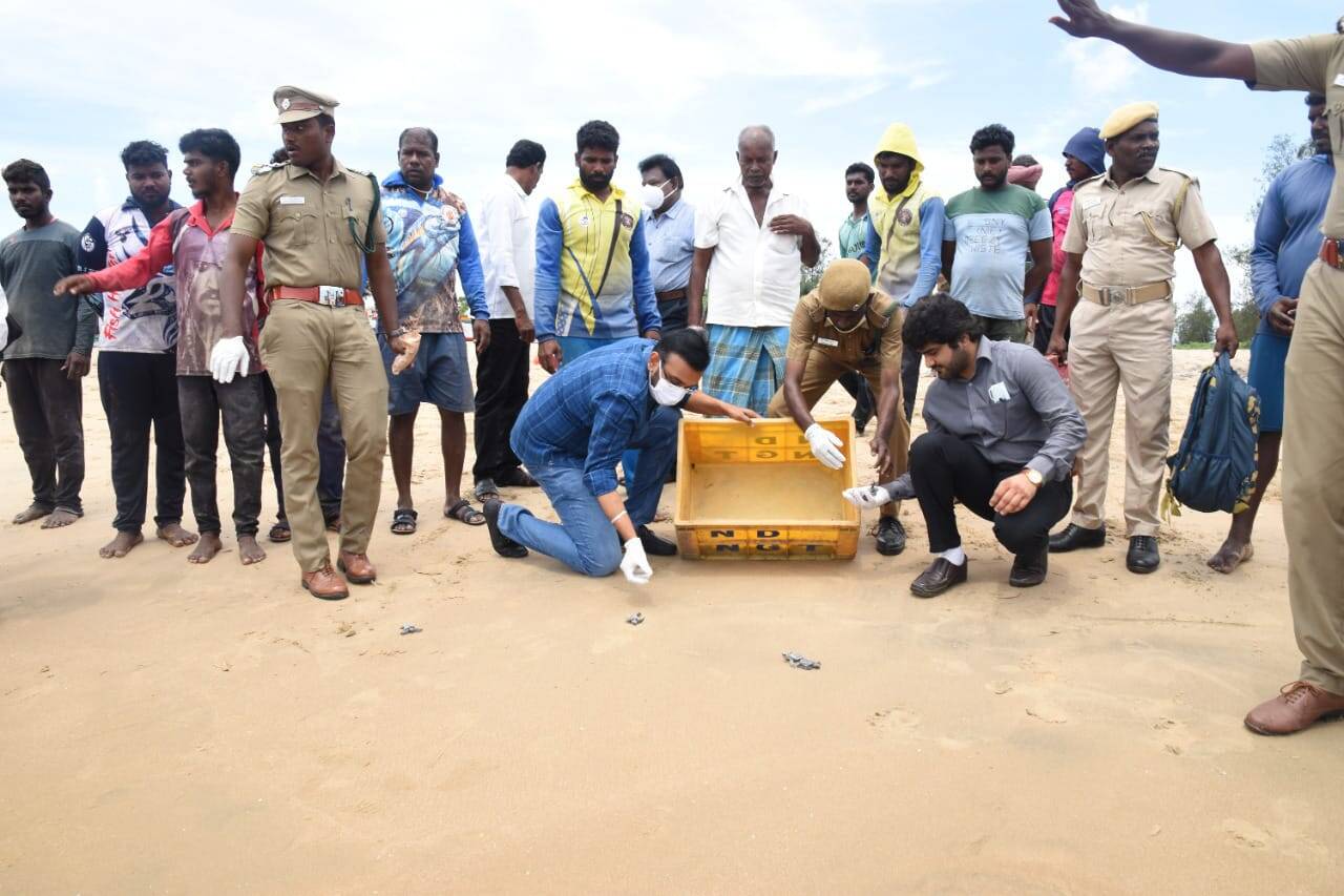நாகையில் ஆலீவ்ரெட்லி ஆமைக்குஞ்சுகளை கடலில் விடும் பணியை துவங்கிவைத்த ஆட்சியர்!