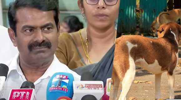 “நாய்களை ஒழித்தால் பிளேக் நோய் வரும்”- சீமான்