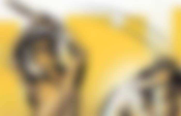 இடையூறாக இருந்த மாமனார், மாமியாரை கொலை செய்ய முயன்ற மருமகள்