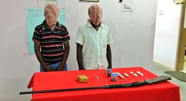மேட்டுப்பாளையம் அருகே வனவிலங்குகளை வேட்டையாட முயன்ற இருவர் கைது... நாட்டு துப்பாக்கி பறிமுதல்!