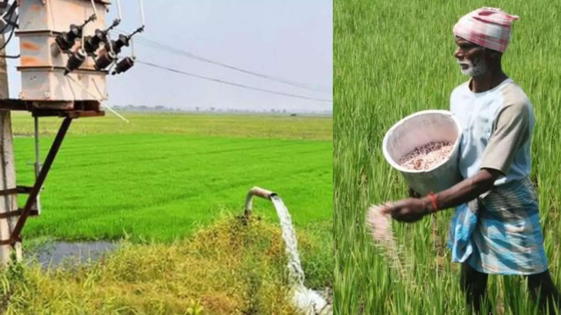 விவசாய மின் இணைப்பு... 2018 வரையிலான விண்ணப்பங்கள் - முக்கிய அப்டேட்!