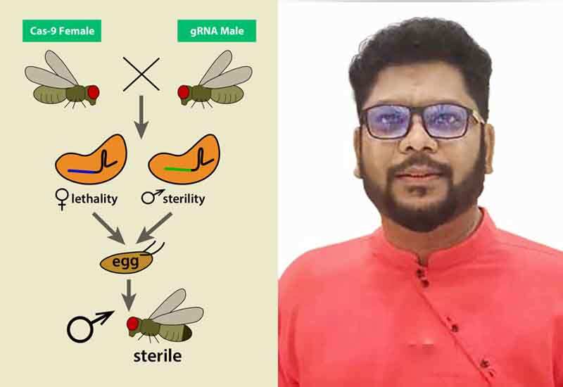 கொசு உற்பத்தியை தடுக்கும் எஸ்.ஐ.டி. ஆய்வு - சாதித்த தமிழர்