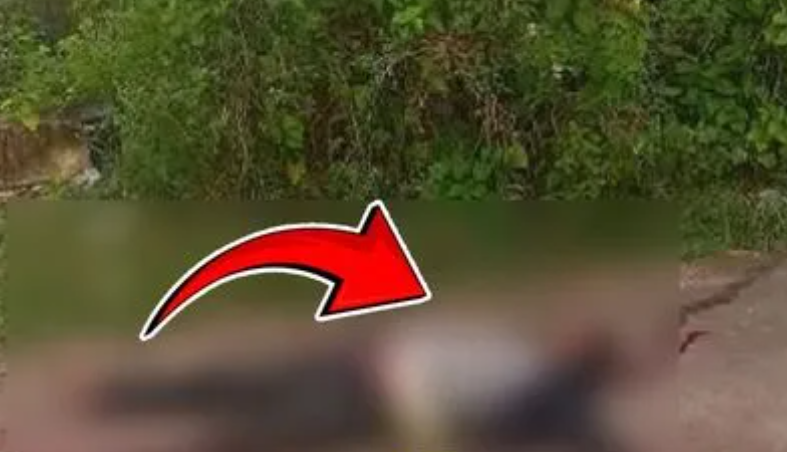 சொத்து கேட்டு டார்ச்சர் செய்த மகனை கூலிப்படையை ஏவி போட்டு தள்ளிய தாய்