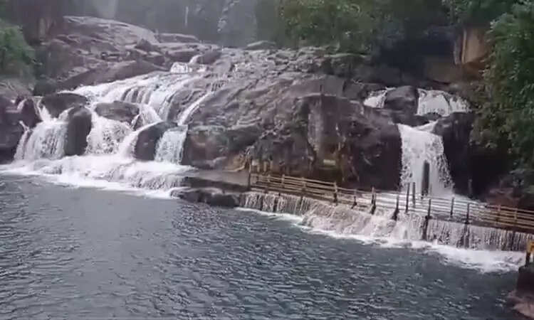 மணிமுத்தாறு அருவியில் குளிக்க தடை..!!