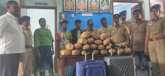 காட்பாடியில் ரயிலில் கடத்திவரப்பட்ட 24 கிலோ கஞ்சா பறிமுதல் - 2 வடமாநில இளைஞர்கள் கைது!