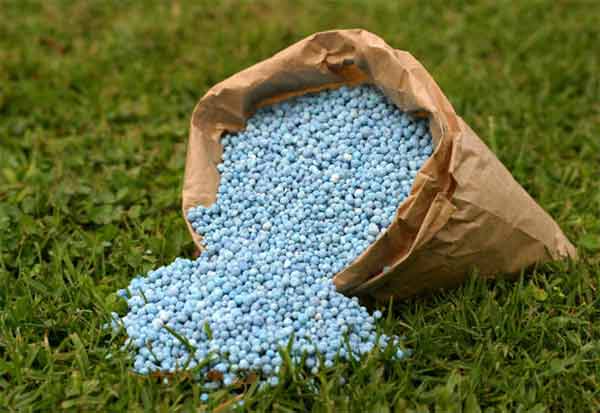 பொட்டாஷ் விலை உயர்வு, தட்டுப்பாட்டை போக்க நடவடிக்கை எடுக்க வேண்டும்!