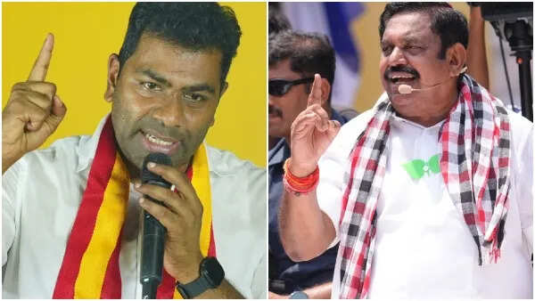 “எடப்பாடியிடம் விலை போய்விட்டார்... கருப்பு ஆடுகள் கட்சியில் அதிகரித்துவிட்டது”- ஆதவ் அர்ஜூனா