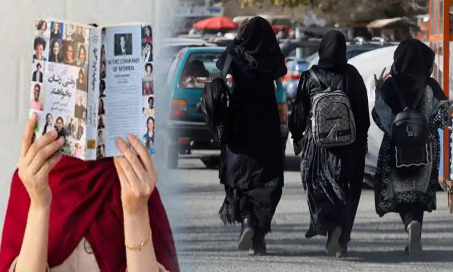 பெண்கள் எழுதிய புத்தகங்களுக்கு தலிபான் அரசு தடை..!!