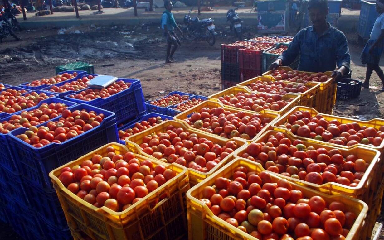சென்னை கோயம்பேடு மார்க்கெட்டில் ஒரு கிலோ தக்காளி ரூ.110க்கு விற்பன்னை