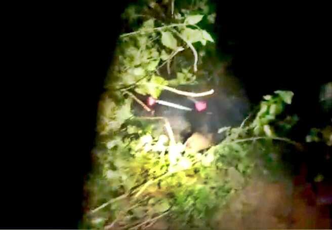 கடையம் அருகே மயக்க ஊசி செலுத்தி பிடிக்கப்பட்ட கரடி உயிரிழப்பு!