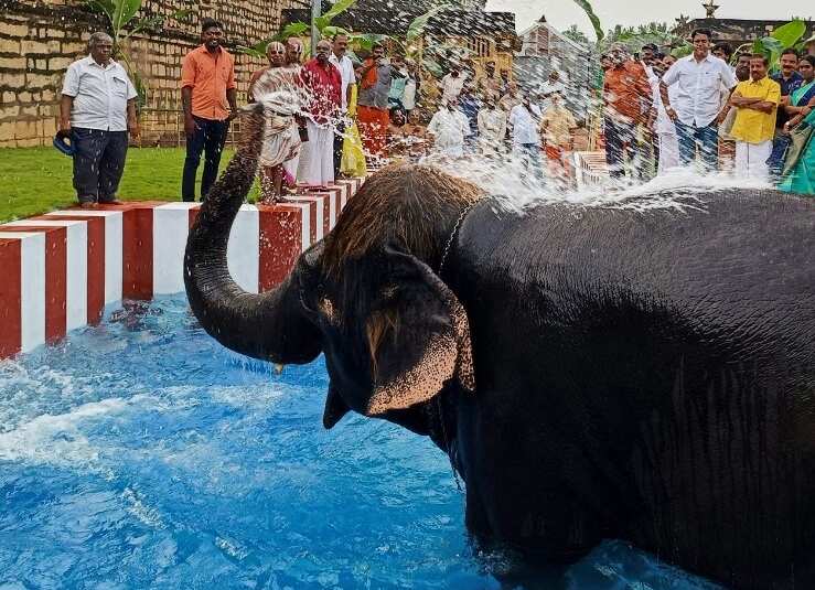 மன்னார்குடி ராஜகோபால சுவாமி கோவிலில் யானை குளிக்க நீச்சல் குளம் திறப்பு!