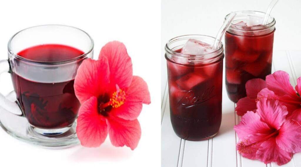 பெண்களின் தலையிலுள்ள பேன்கள் ஒழிய என்ன செய்யணும் தெரியுமா ?