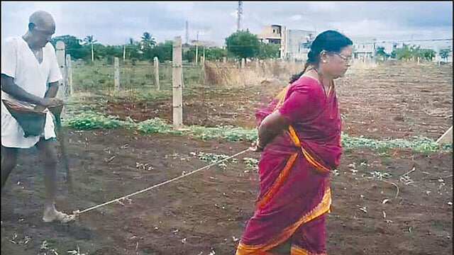 ஏர் கலப்பையில் மனைவியை கட்டி நிலத்தை உழுத விவசாயி... !இணையத்தில் வைரலாகும் வீடியோ..!!