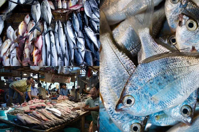 மக்கள் அதிர்ச்சி..! மீன்கள் விலை கடும் உயர்வு..!