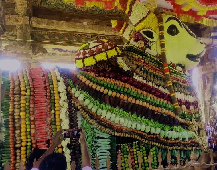 தஞ்சை பெரிய நந்திக்கு ஆயிரம் கிலோ காய், கனிகளை கொண்டு சிறப்பு அலங்காரம்!