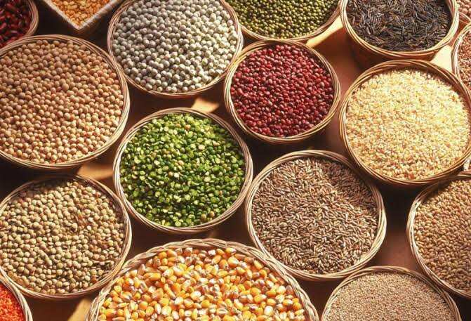 5 மாவட்டங்களில் புதிதாக சிறுதானிய மண்டலங்கள் உருவாக்கப்படும்- வேளாண் பட்ஜெட்டில் அறிவிப்பு