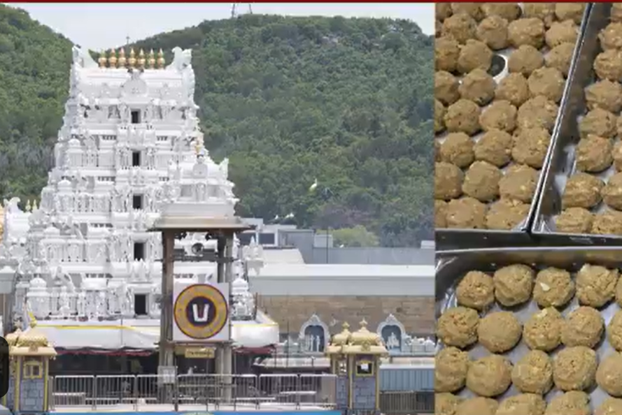 திருப்பதி லட்டு நெய் கலப்படத்தில் ரூ.234.51 கோடி முறைகேடு - விசாரணையில் வெளியான தகவல்