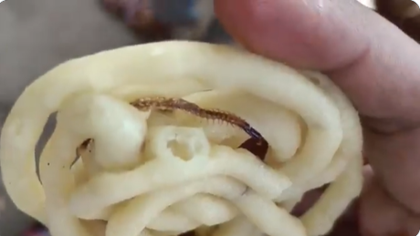 முறுக்கு பாக்கெட்டில் பூரான் - உணவு பாதுகாப்புத்துறைக்கு பறந்த புகார்!!