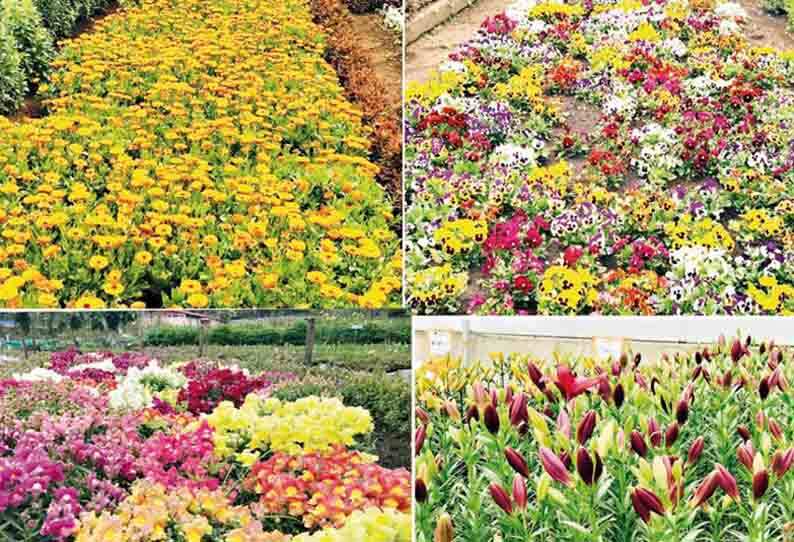 கொடைக்கானல்: பார்வையாளர் நேரம் அதிகரிப்பு