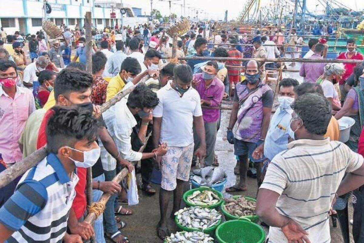 காசிமேடு மீன் சந்தையில் அலைமோதிய கூட்டம் : கொரோனா பரவும் அபாயம்!!
