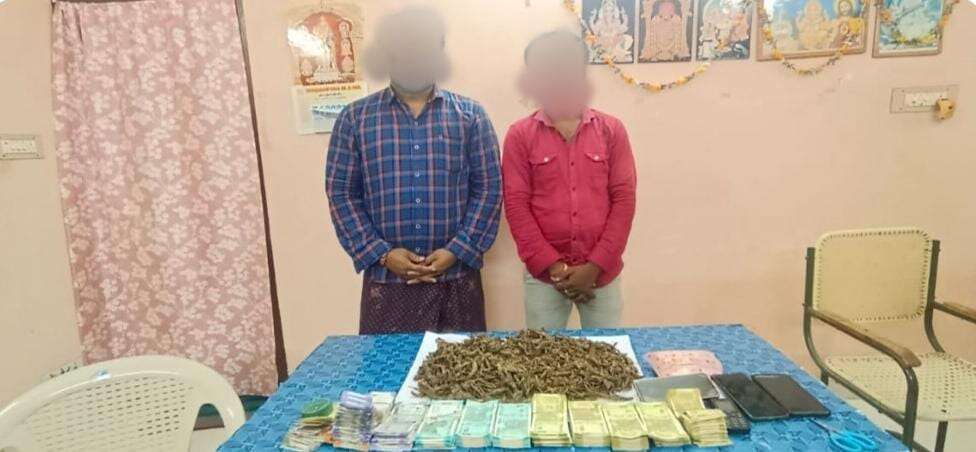தூத்துக்குடியில் கஞ்சா விற்பனை செய்த இருவர் கைது... 1 கிலோ கஞ்சா, ரூ.58 ஆயிரம் பணம் உள்ளிட்டவை பறிமுதல்!