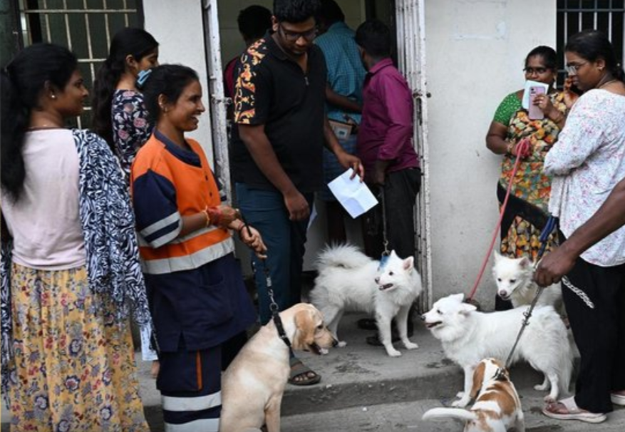 சென்னையில் வளர்ப்பு நாய்களுக்கு உரிமம் பெறுவதற்கான காலஅவகாசம் நீட்டிப்பு