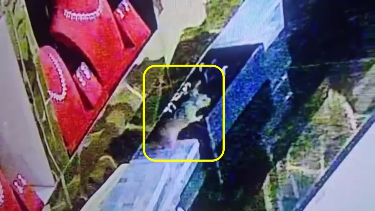 கண்ணாடி அலமாரியை உடைக்காமல் வைர நகைகள் மாயம்... CCTV-யில் சிக்கிய அந்தப் 'பகீர்' கொள்ளையன்..!