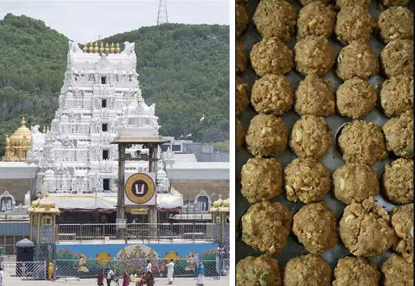திருப்பதி லட்டு பிரசாதத்தின் தரத்தை உறுதிப்படுத்த மத்திய அரசுடன் ஒப்பந்தம்!
