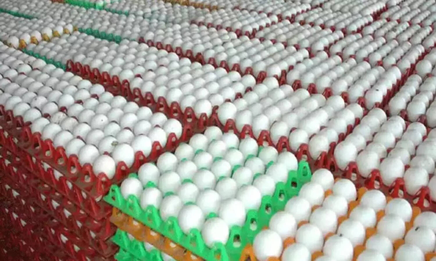 இல்லத்தரசிகள் ஷாக்..! முட்டை விலை வரலாறு காணாத அளவு உயர்வு..!