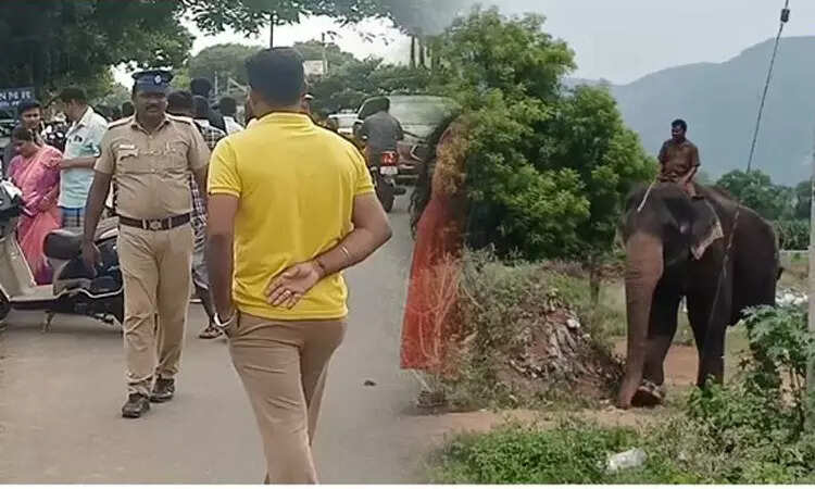 அரிசிக்கொம்பனை பிடிக்கும் பணி 3வது நாளாக நீடிப்பு..