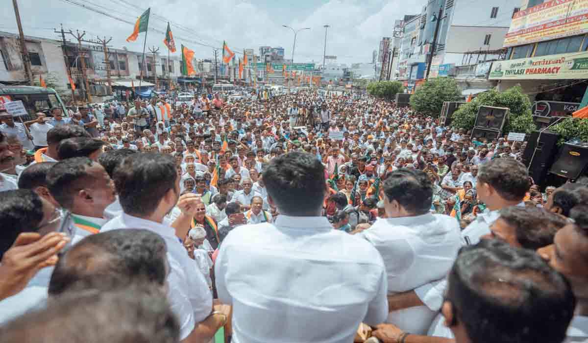 செந்தில் பாலாஜியை எந்த முதல்வர் வந்து காப்பாற்றுவார் பார்க்கலாம் - அண்ணாமலை சவால்