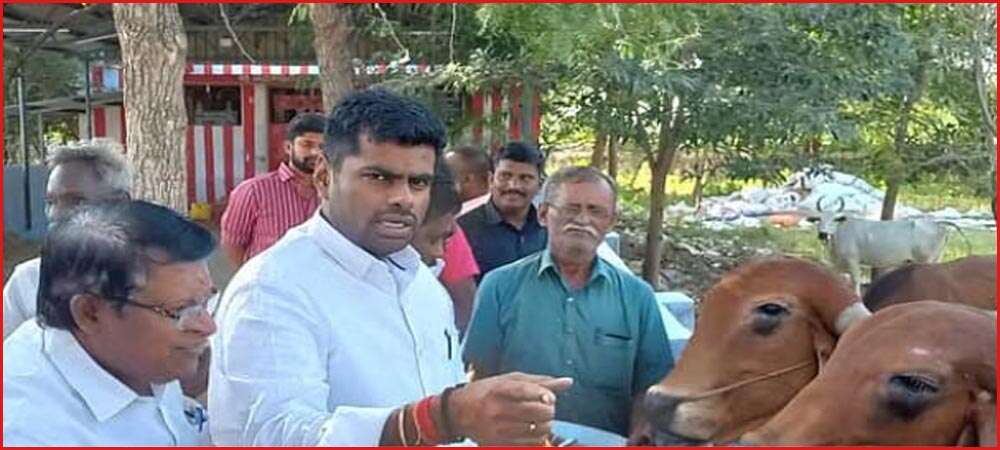 இரவில் எங்கே சென்றார் அண்ணாமலை? தேடிய உளவுத்துறை