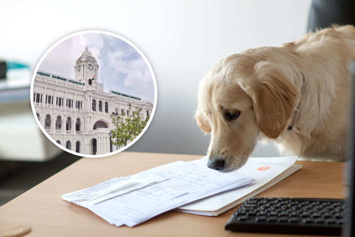 செல்லப்பிராணிகளுக்கு உரிமம் பெற கால அவகாசம்