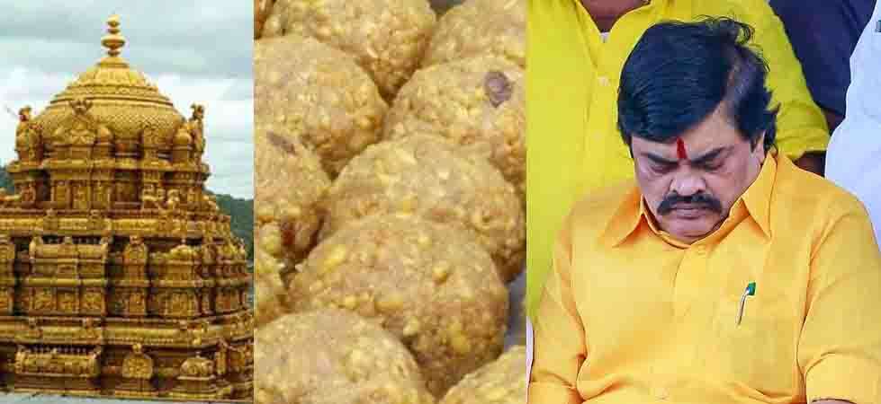 திருப்பதி லட்டு விவகாரத்திலும் சிக்குகிறாரா ராஜேந்திரபாலாஜி