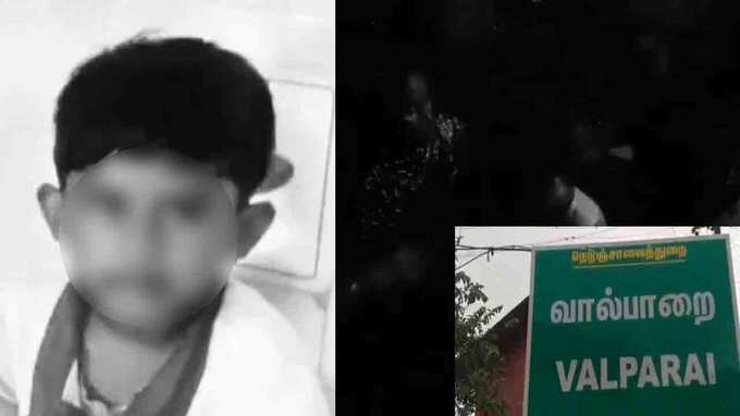 சிறுத்தை தாக்கியதில் 5 வயது சிறுவன் உயிரிழப்பு! வால்பாறையில் சோகம்