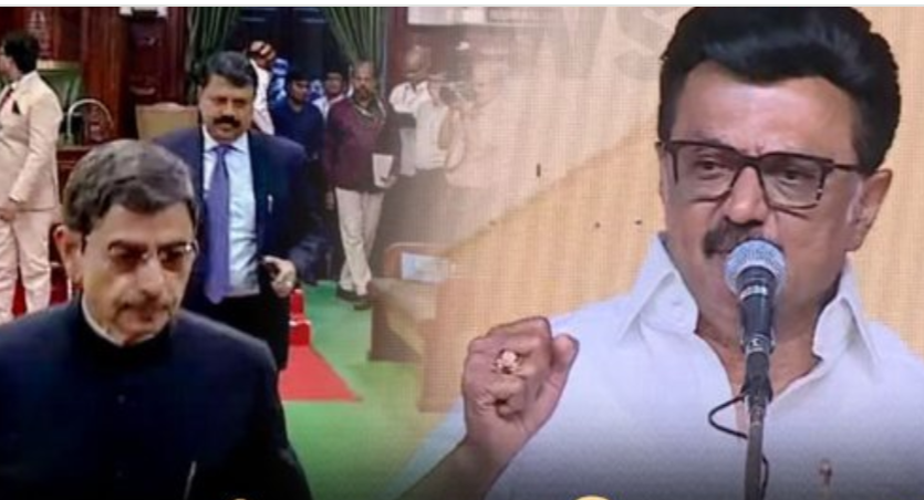 “உங்களுக்கு என்ன பிரச்னை? உங்களுக்கு எங்க எரியுது? திமிர அடக்கிடுவோம்”- ஆளுநரை வறுத்தெடுத்த முதல்வர்