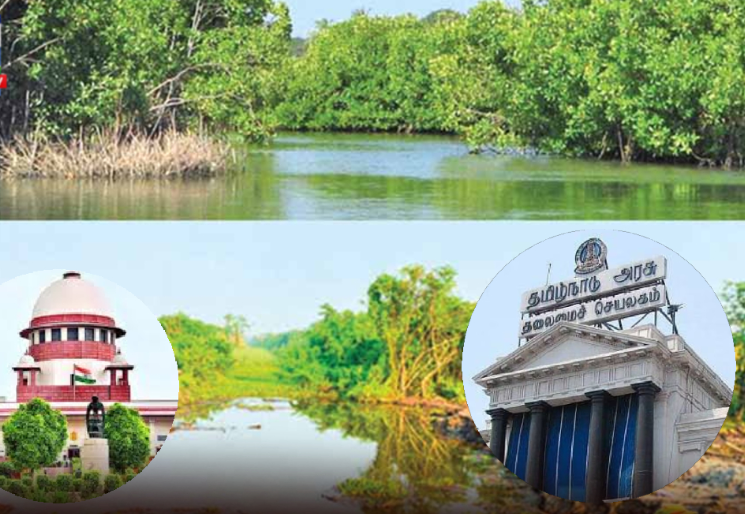 பள்ளிக்கரணை உள்ளிட்ட பகுதிகளில் சதுப்பு நிலங்களை அளவிடும் பணிகள் நிறைவு- தமிழக அரசு