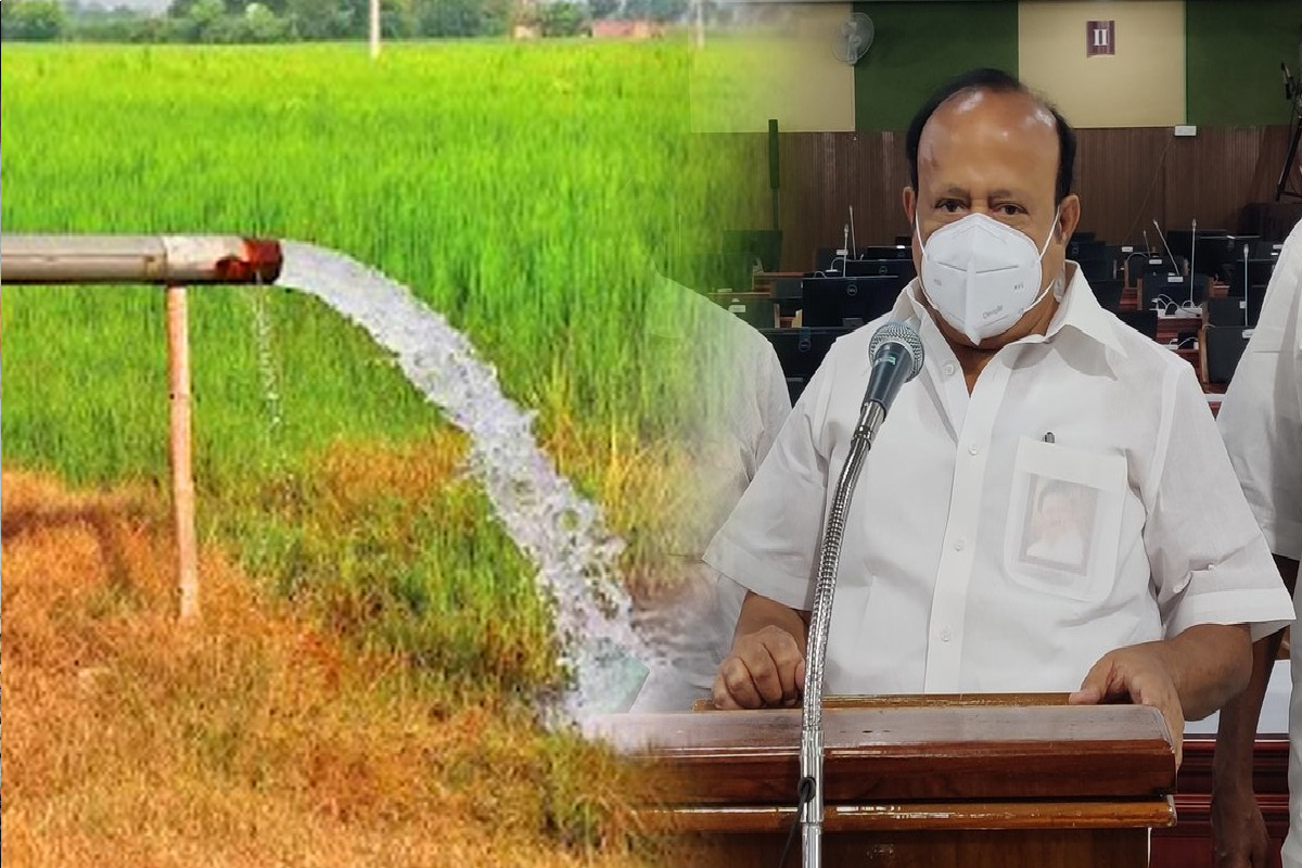 தமிழக விவசாயிகளின் தேவையை பூர்த்தி செய்ய 90,000 டன் யூரியா இறக்குமதி - அமைச்சர் தகவல்