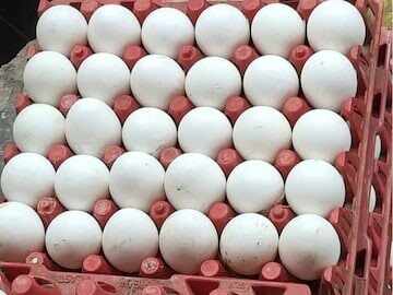 வரலாற்றில் முதல்முறை.. முட்டை விலை அதிரடி உயர்வு.. பொதுமக்கள் அதிர்ச்சி!