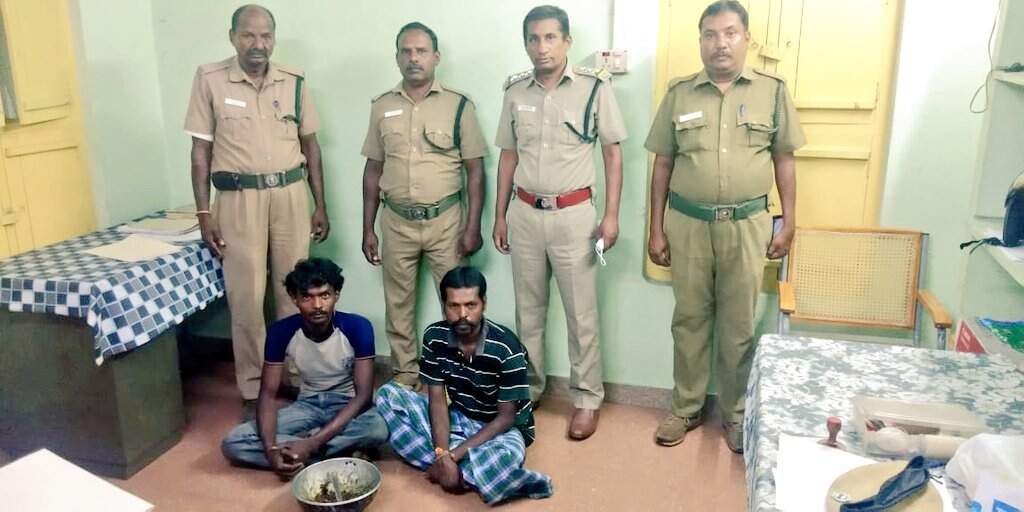 கோவை அருகே அவுட்டுகாய் வைத்து காட்டுப்பன்றியை வேட்டையாடிய இருவர் கைது!