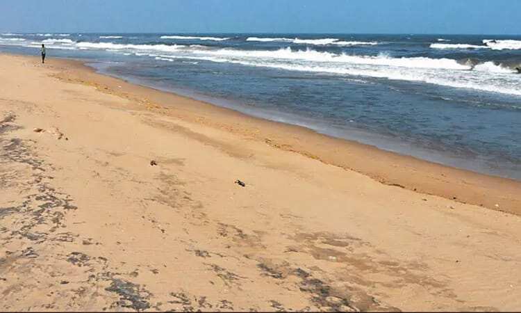 தூத்துக்குடியில் பெரும் பரபரப்பு... கடல் திடீரென உள்வாங்கியதால் மக்கள் அச்சம்