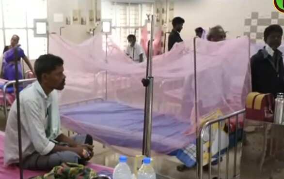 8 பேருக்கு உண்ணி காய்ச்சல்! திண்டுக்கல்லில் பதற்றம்