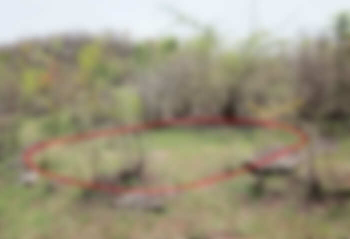 தாத்தாவை கொன்று புதைத்து புற்கள் நட்டு வைத்த பேரன்