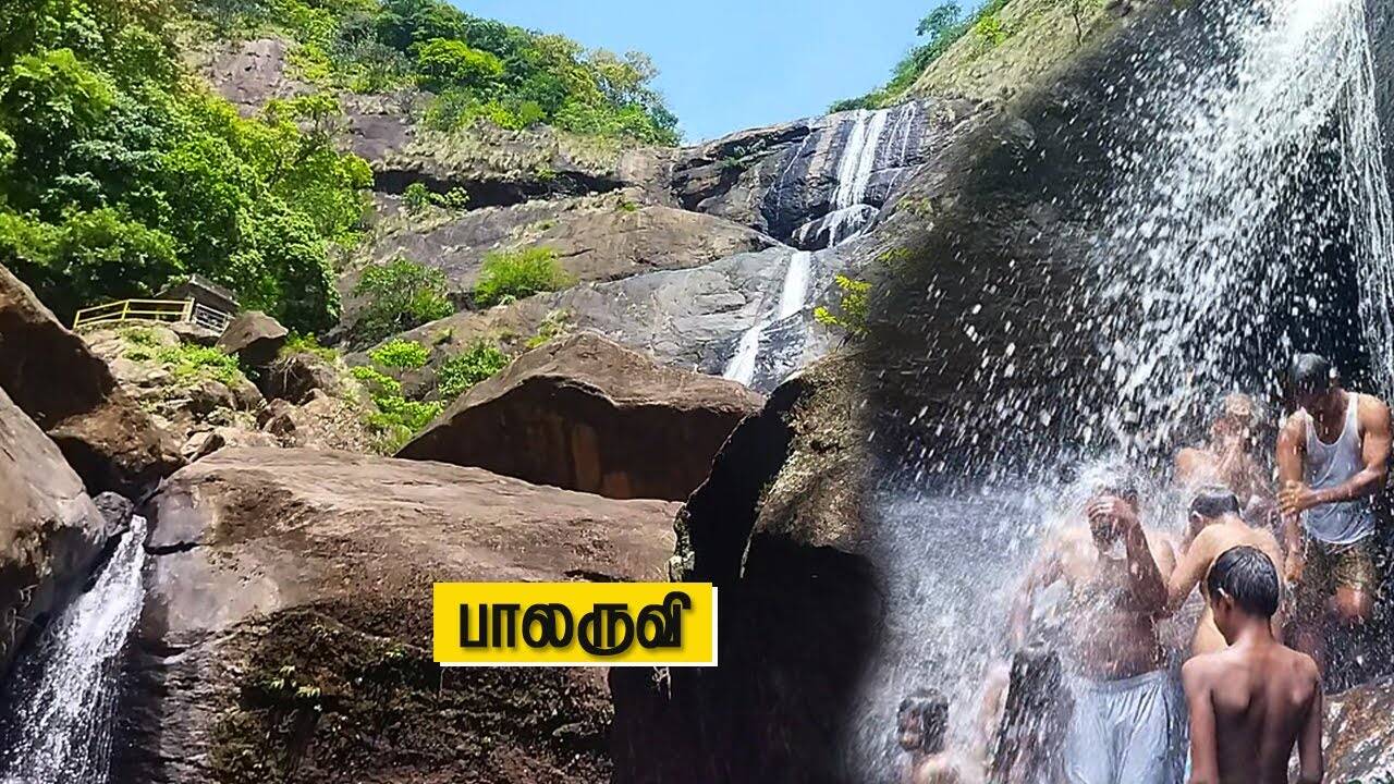 தமிழக சுற்றுலா பயணிகள் வர வேண்டாம்- கேரள வனத்துறை பரபரப்பு அறிவிப்பு