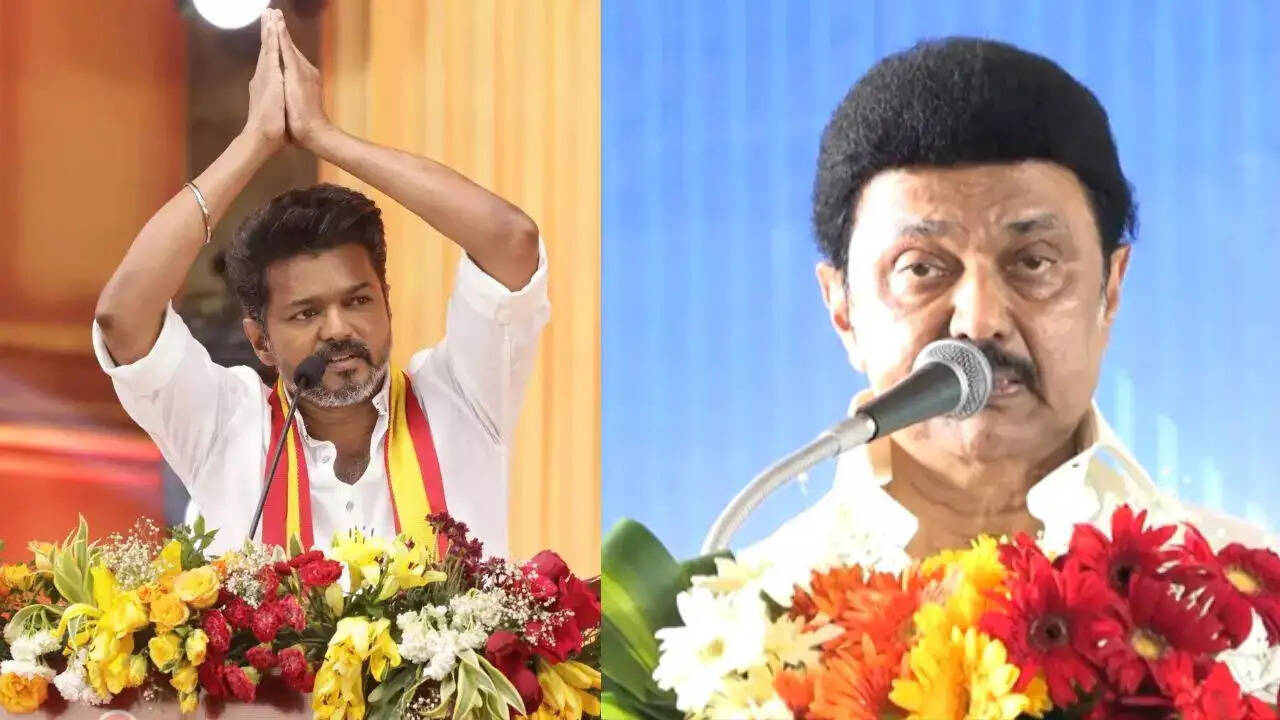 பொய்யை கூறி சுயதம்பட்டம் அடித்துக்கொள்கிறார் ஸ்டாலின் - விஜய் கடும் விமர்சனம்