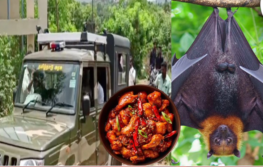 வௌவால்களை வறுத்து, சில்லி சிக்கன் என விற்பனை