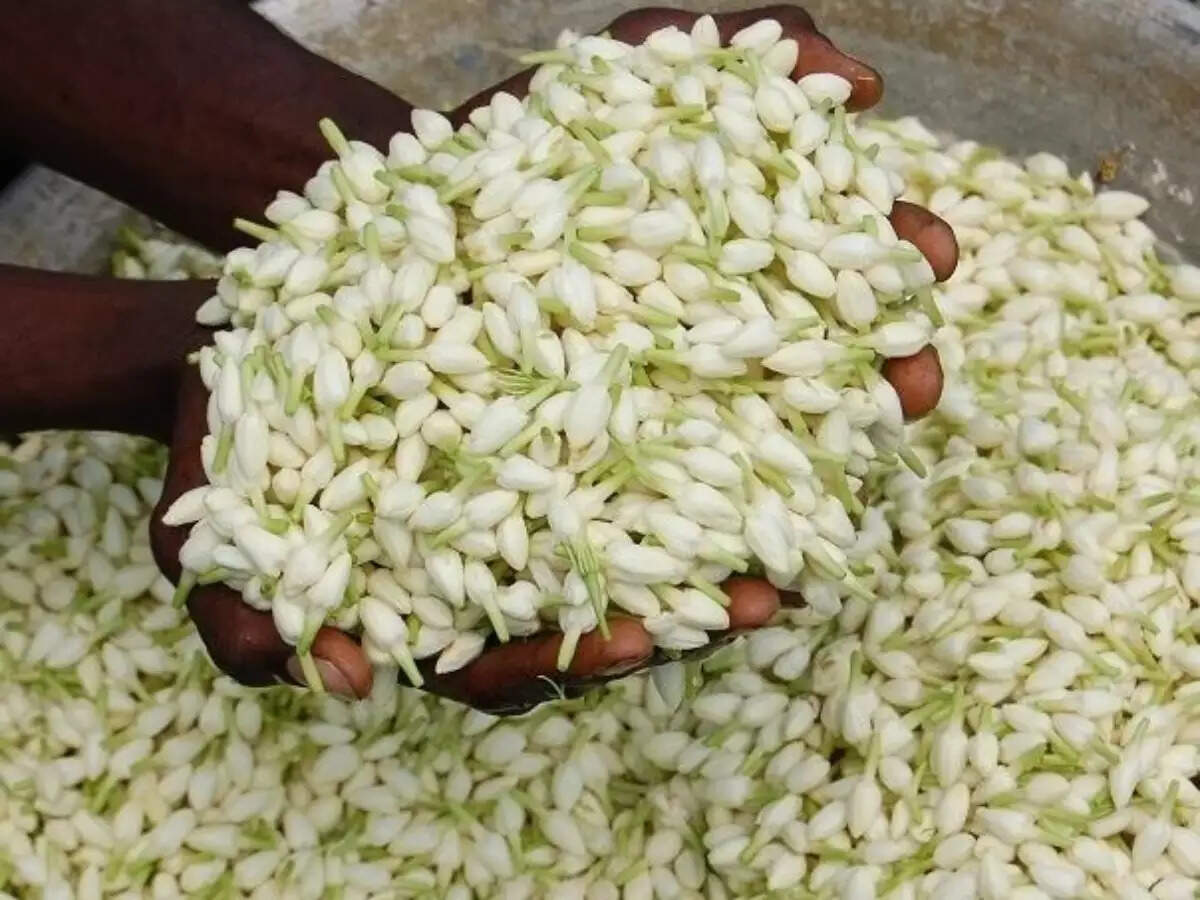 பூக்களின் விலை கடும் உயர்வு..!