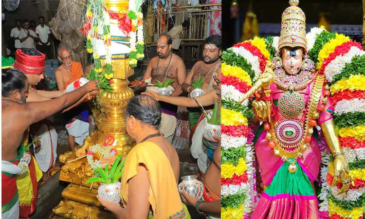 மதுரை மீனாட்சி அம்மன் கோயில் : ஆடி முளைக்கொட்டுத் திருவிழா கொடியேற்றத்துடன் தொடக்கம்..!!