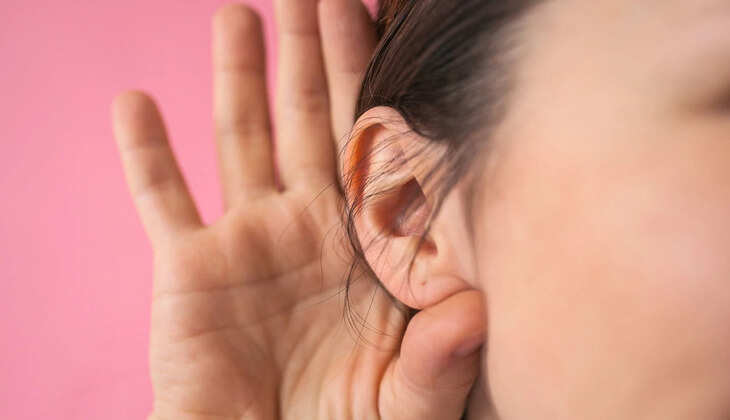 insects in ear tips